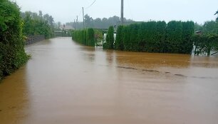 Apsemti Kai&scaron;iadorių &bdquo;Baltojo berželio&ldquo; sodai