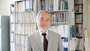 Yoshinori Ohsumi