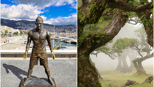 Ronaldo skulptūra ir Fanal miškas Madeiroje