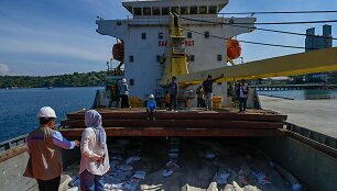 Asociatyvi nuotr.