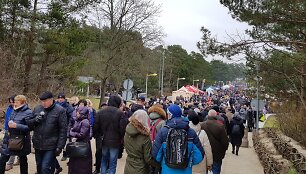 Kurorte &scaron;urmuliuoja &bdquo;Palangos stinta&ldquo;