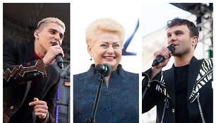 Donatas Montvydas, Dalia Grybauskaitė, Vaidas Baumila