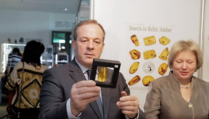 Romas Adomavičius &bdquo;Amber Trip 2014&ldquo; parodoje