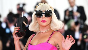 Lady Gaga ant &bdquo;Met Gala&ldquo; raudono kilimo