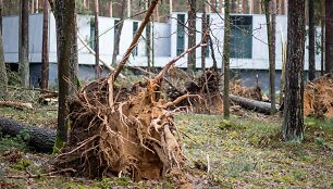 Stipraus vėjo padariniai Vilniaus mieste ir apylinkėse