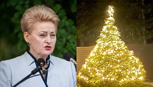 Dalia Grybauskaitė