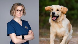 Veterinarijos gydytoja Marytė Reketytė ir šuo 