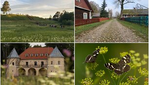 Dieveni&scaron;kių istorinis regioninis parkas