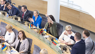 Tėvynės sąjungos-Lietuvos krikščionių demokratų frakcija