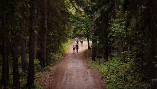 Varnikų pažintinis takas