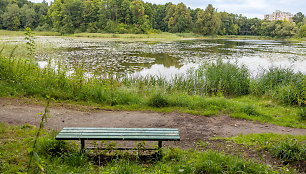 Jeruzalės tvenkinio parkas