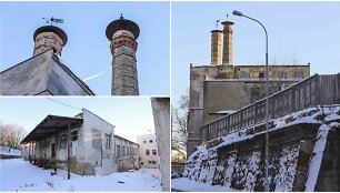 Gamykla &bdquo;Vilniaus Tauras&ldquo;