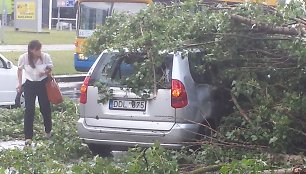 Žirmūnuose medis prispaudė automobilį