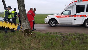 Avarija &Scaron;ilutės rajone