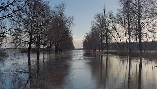 Potvynis pamaryje