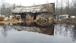 Potvynio zona