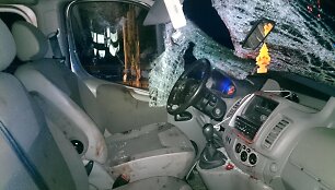 Avarija &Scaron;iauliuose. Kelią pastojo briedis