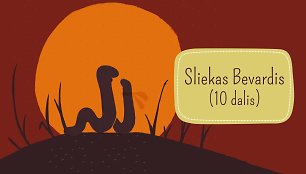 „Slieko Bevardžio“ vakaro pasaka: kaip viskas baigsis? (10 dalis)