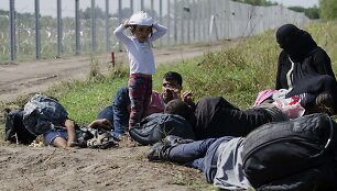 Migrantai prie Vengrijos sienos