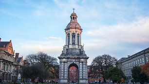 Dublinas