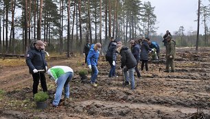 Vienas iš netikėtumų – į programą įtrauktas miško sodinimas