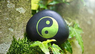 &bdquo;Yin ir Yang&ldquo;