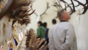 Žagarės dvare &ndash; trofėjų paroda su lapių medžioklės imitacija
