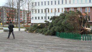Vėjas vartė &Scaron;iaulių kalėdines egles