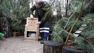 Į Lietuvos zoologijos sodą atvyko naujas gyvūnas – Manulas