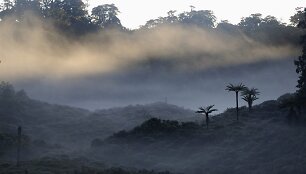 Papua Naujoji Gvinėja.