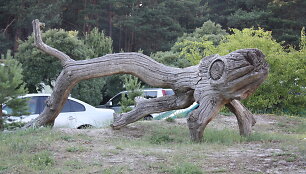 &Scaron;ventoji