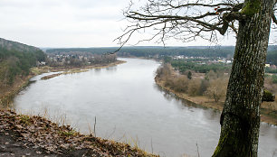 Drąseikių atodanga