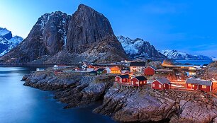 Reine miestelis