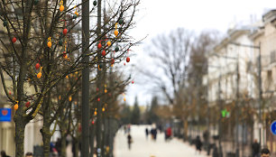 Šiaulių pėsčiųjų bulvaro medžiai papuošti margučiais