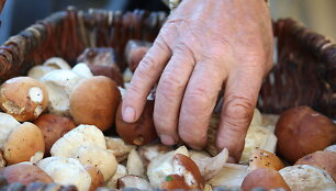 Klaipėdos Senajame turguje grybų penktadienį buvo galima nusipirkti ir už eurą