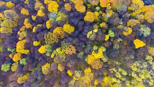 Rudeni&scaron;kai spalvinga Lietuva