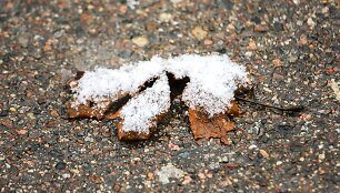 Vilniečiai pro langą i&scaron;vydo pirmąsias snaiges