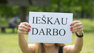 Bedarbystė