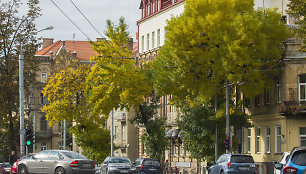 Rudenėjantis Vilnius