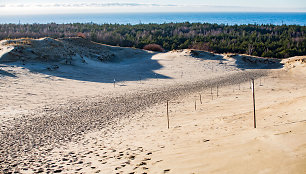 Naglių pažintinis takas