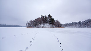 Jonėnų piliakalnis Asvejos ežere