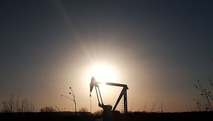 Naftos gavyba