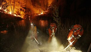 I&scaron;plitęs mi&scaron;kų gaisras siautėjo Kalifornijos Midltaune
