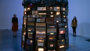 Cildo Meireles &ndash; &bdquo;Babel&ldquo; 2001 m.