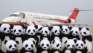 Žmonės pandų kostiumuose &scaron;alia &bdquo;Chengdu airlines&ldquo; lėktuvo 