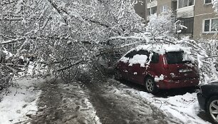 Sniegas Velykų rytą Vilniuje