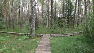 Varnikų pažintinis pėsčiųjų takas