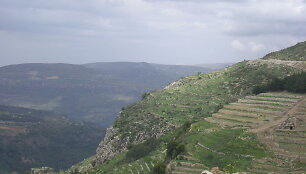 Libano gamta