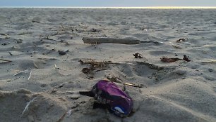 Jau trečius metus iš eilės analizuojama, kokių atliekų paplūdimiuose daugiausia – tai atskleidžia poilsiautojų įpročius.