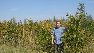 Kazimieras &Scaron;iaulys